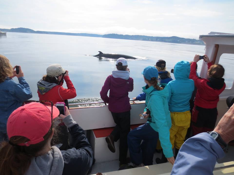 Marine Mammal Summer Camp campers and whale